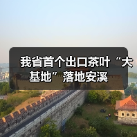 我省首个出口茶叶“大基地”落地安溪（图4）