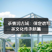 茶香润古城：保定谱写茶文化传承新篇（图4）