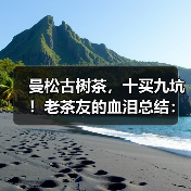 曼松古树茶，十买九坑！老茶友的血泪总结：避坑就认这几点（图4）