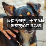 曼松古树茶，十买九坑！老茶友的血泪总结：避坑就认这几点（图3）