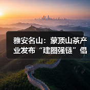 雅安名山：蒙顶山茶产业发布“建圈强链”倡议（图4）