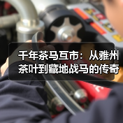 千年茶马互市：从雅州茶叶到藏地战马的传奇交易（图1）