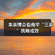 来茶博会看南平“三茶”统筹成效（图2）