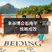 来茶博会看南平“三茶”统筹成效（图4）