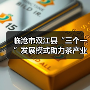 临沧市双江县“三个一”发展模式助力茶产业升级（图1）