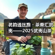 茗韵通丝路・茶香汇武夷——2025武夷山茶叶产销对接会成功举办（图2）
