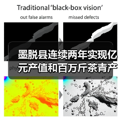 墨脱县连续两年实现亿元产值和百万斤茶青产量“双突破”——茶香沁人富边城（图2）