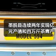 墨脱县连续两年实现亿元产值和百万斤茶青产量“双突破”——茶香沁人富边城（图1）