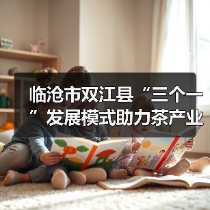 临沧市双江县“三个一”发展模式助力茶产业升级（图4）