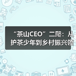 “茶山CEO”二爬：从护茶少年到乡村振兴领路人（图3）