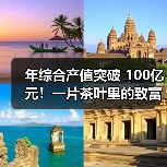 年综合产值突破 100亿元！一片茶叶里的致富经（图1）