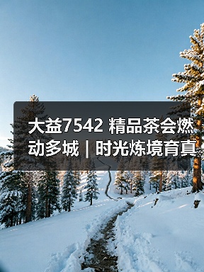 大益7542 精品茶会燃动多城 | 时光炼境育真味，价值回归引共鸣（图4）