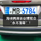 海峡两岸茶业博览会，“永不落幕”！（图1）