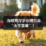 海峡两岸茶业博览会，“永不落幕”！（图3）