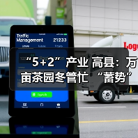 “5+2”产业 高县：万亩茶园冬管忙 “蓄势”春来茶飘香（图1）