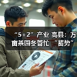 “5+2”产业 高县：万亩茶园冬管忙 “蓄势”春来茶飘香（图2）