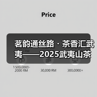 茗韵通丝路・茶香汇武夷——2025武夷山茶叶产销对接会成功举办（图3）