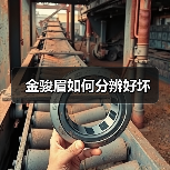 金骏眉如何分辨好坏（图2）