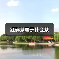 红碎茶属于什么茶（图1）