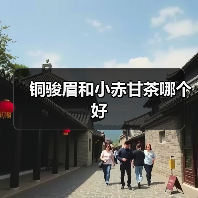 铜骏眉和小赤甘茶哪个好（图1）
