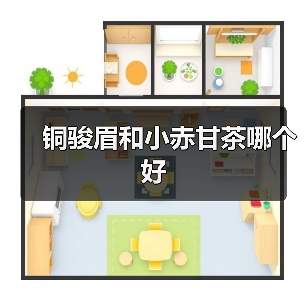 铜骏眉和小赤甘茶哪个好（图4）