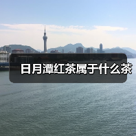 日月潭红茶属于什么茶（图2）
