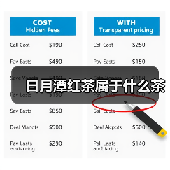 日月潭红茶属于什么茶（图3）