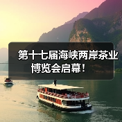 第十七届海峡两岸茶业博览会启幕！（图1）
