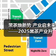 黑茶焕新势 产业启未来——2025黑茶产业升级发展交流会成功举办（图2）