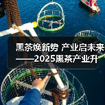 黑茶焕新势 产业启未来——2025黑茶产业升级发展交流会成功举办（图3）