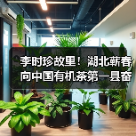 李时珍故里!湖北蕲春向中国有机茶第一县奋进(图2) 李时珍故里!湖北蕲春向中国有机茶第一县奋进(图2)