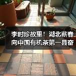 李时珍故里!湖北蕲春向中国有机茶第一县奋进(图4) 李时珍故里!湖北蕲春向中国有机茶第一县奋进(图4)