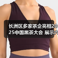 长洲区多家茶企亮相2025中国黑茶大会 展示六堡茶产业发展成果(图1) 长洲区多家茶企亮相2025中国黑茶大会 展示六堡茶产业发展成果(图1)