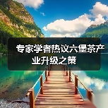 专家学者热议六堡茶产业升级之策(图4) 专家学者热议六堡茶产业升级之策(图4)