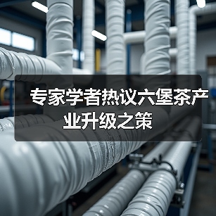 专家学者热议六堡茶产业升级之策(图2) 专家学者热议六堡茶产业升级之策(图2)