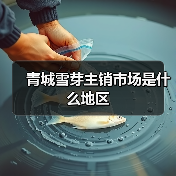 青城雪芽主销市场是什么地区（图2）