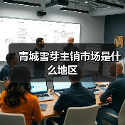 青城雪芽主销市场是什么地区（图1）
