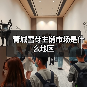 青城雪芽主销市场是什么地区（图4）