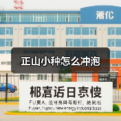 正山小种怎么冲泡（图3）