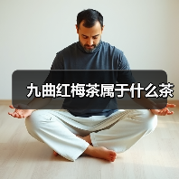 九曲红梅茶属于什么茶（图3）