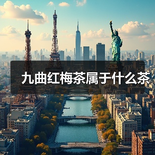 九曲红梅茶属于什么茶（图4）