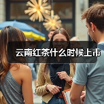 云南红茶什么时候上市(图1) 云南红茶什么时候上市(图1)