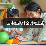 云南红茶什么时候上市(图3) 云南红茶什么时候上市(图3)