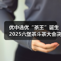 优中选优“茶王”诞生 2025六堡茶斗茶大会决赛圆满落幕(图3) 优中选优“茶王”诞生 2025六堡茶斗茶大会决赛圆满落幕(图3)