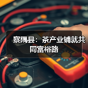 察隅县:茶产业铺就共同富裕路(图1) 察隅县:茶产业铺就共同富裕路(图1)