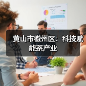 黄山市徽州区:科技赋能茶产业(图2) 黄山市徽州区:科技赋能茶产业(图2)