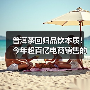 普洱茶回归品饮本质!今年超百亿电商销售的背后……(图4) 普洱茶回归品饮本质!今年超百亿电商销售的背后……(图4)