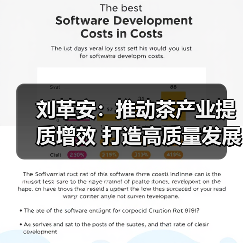 刘革安:推动茶产业提质增效 打造高质量发展新引擎(图4) 刘革安:推动茶产业提质增效 打造高质量发展新引擎(图4)