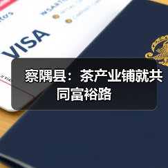 察隅县:茶产业铺就共同富裕路(图2) 察隅县:茶产业铺就共同富裕路(图2)