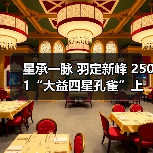 星承一脉 羽定新峰 2501“大益四星孔雀”上市热卖中（图1）